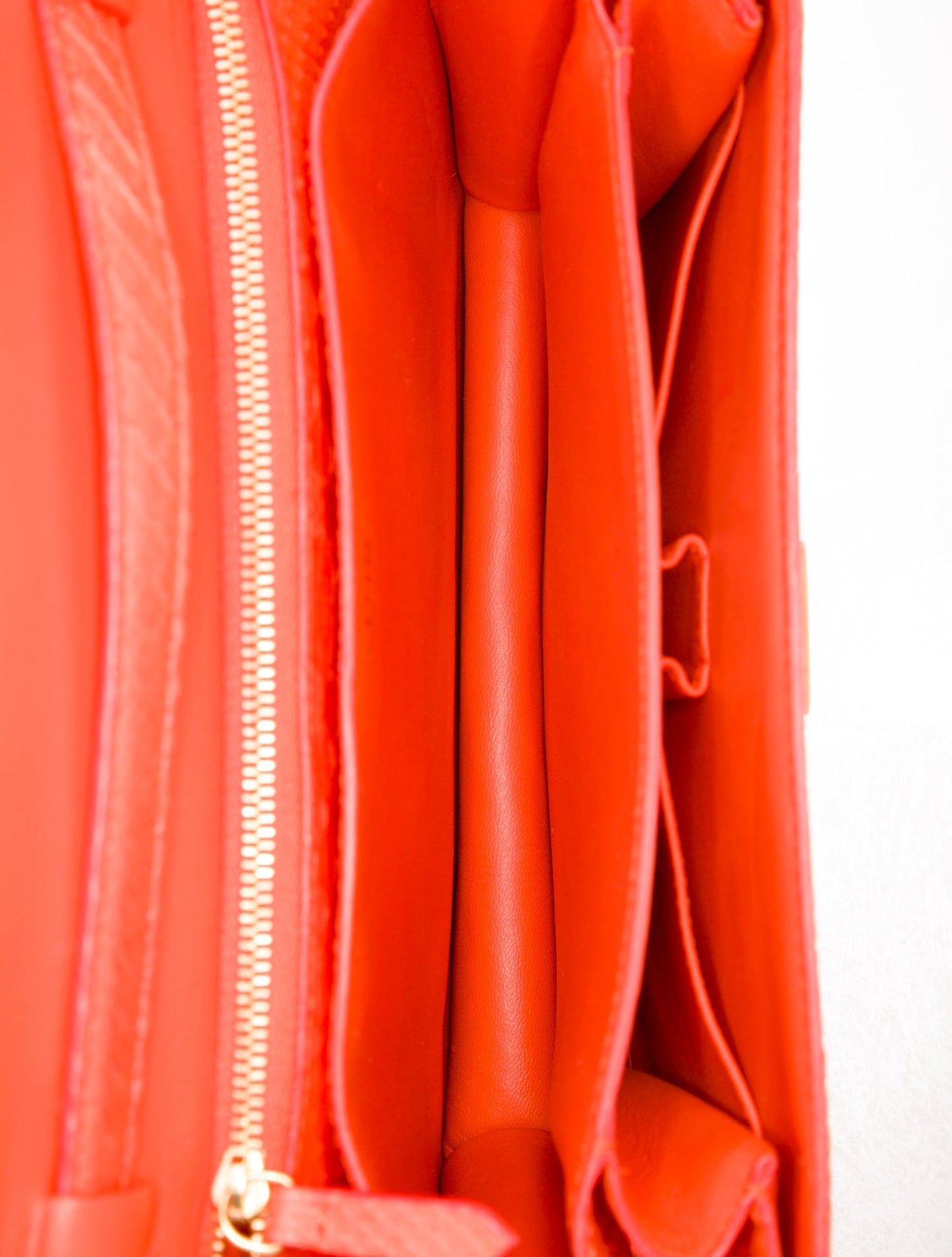 Celine Python Classic Medium