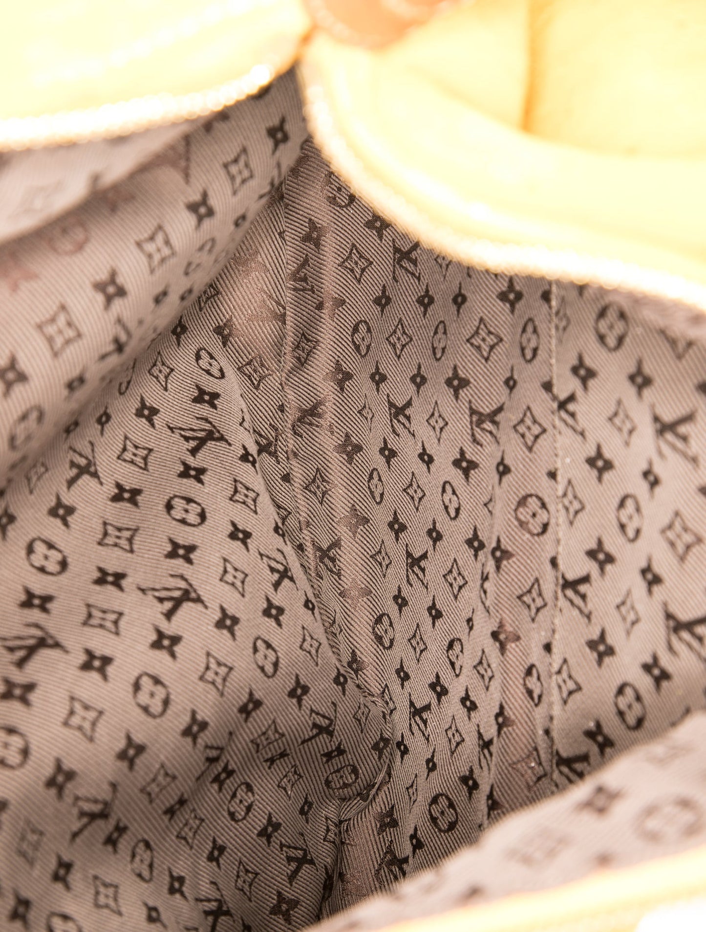 Louis Vuitton LV Monogram Onatah