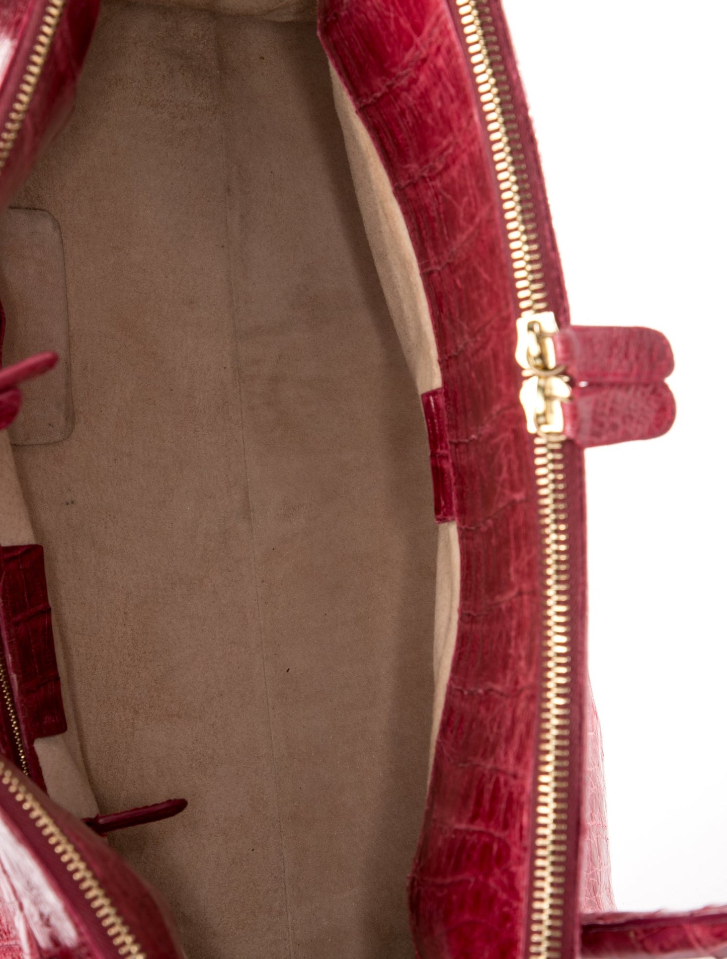 Nancy Gonzalez Crocodile Top Handle Bag