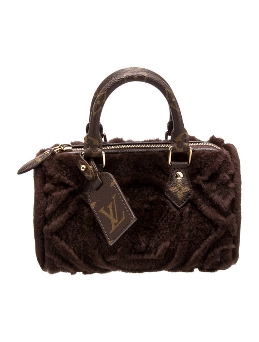 Louis Vuitton LV Monogram Speedy Nano