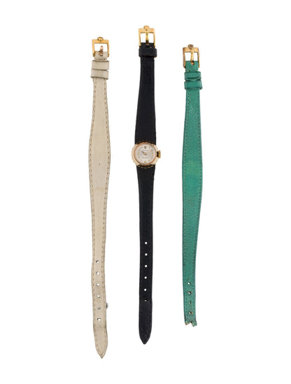 Rolex Rolex