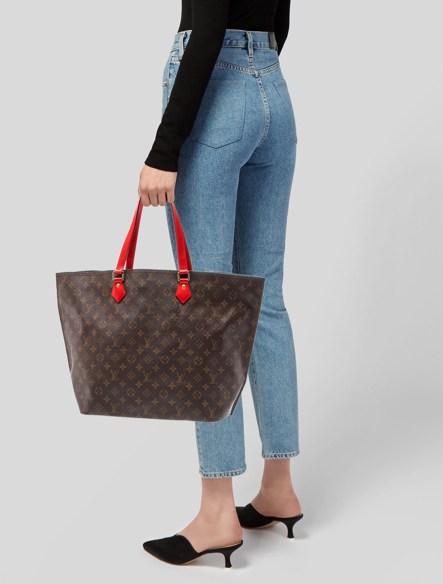 Louis Vuitton LV Monogram All-In MM