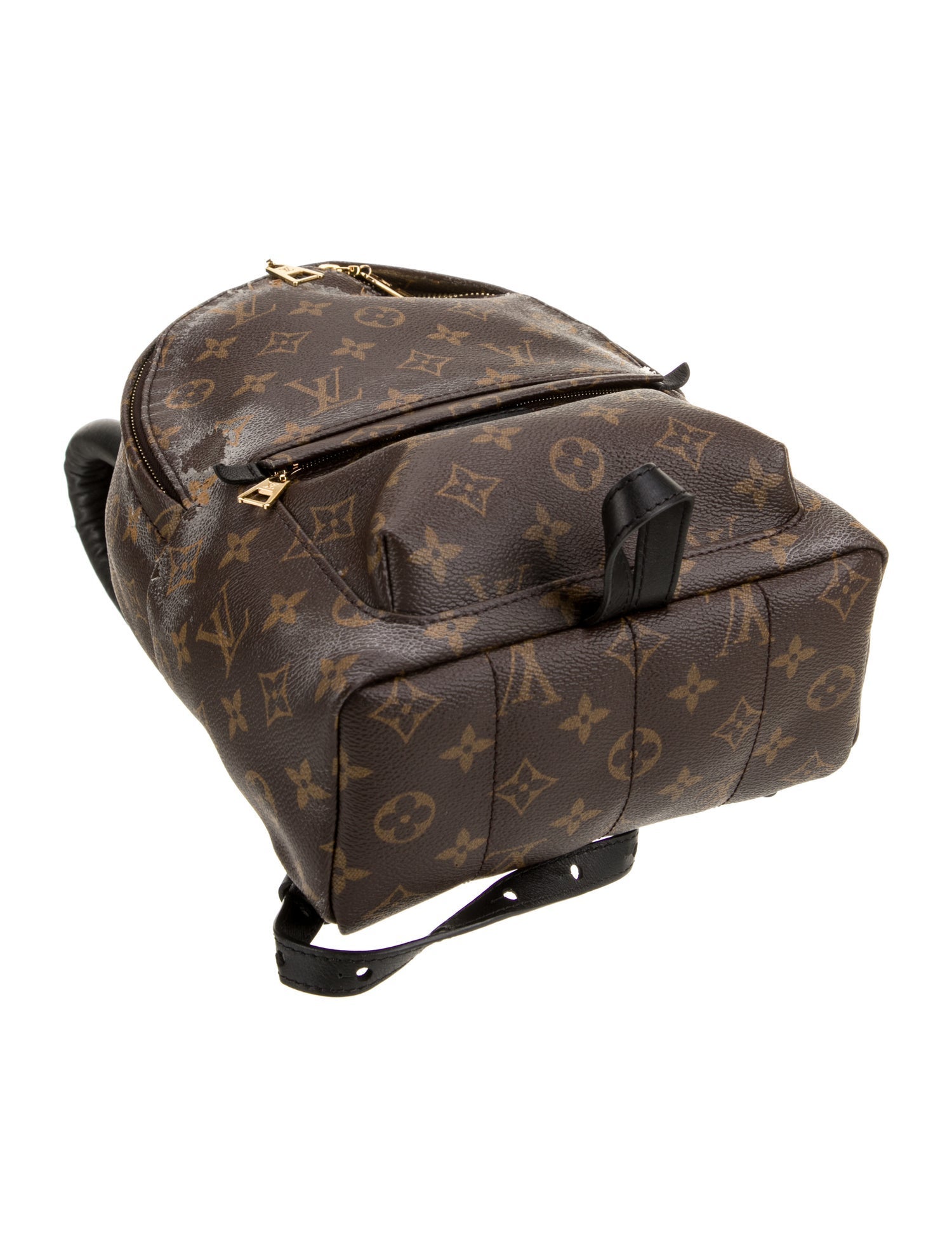 Louis Vuitton LV Monogram Palm Springs PM