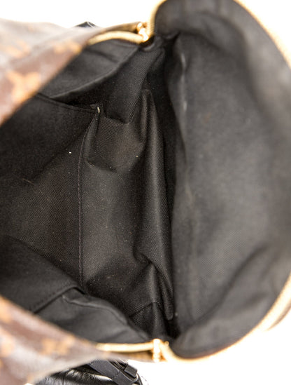 Louis Vuitton LV Monogram Palm Springs PM