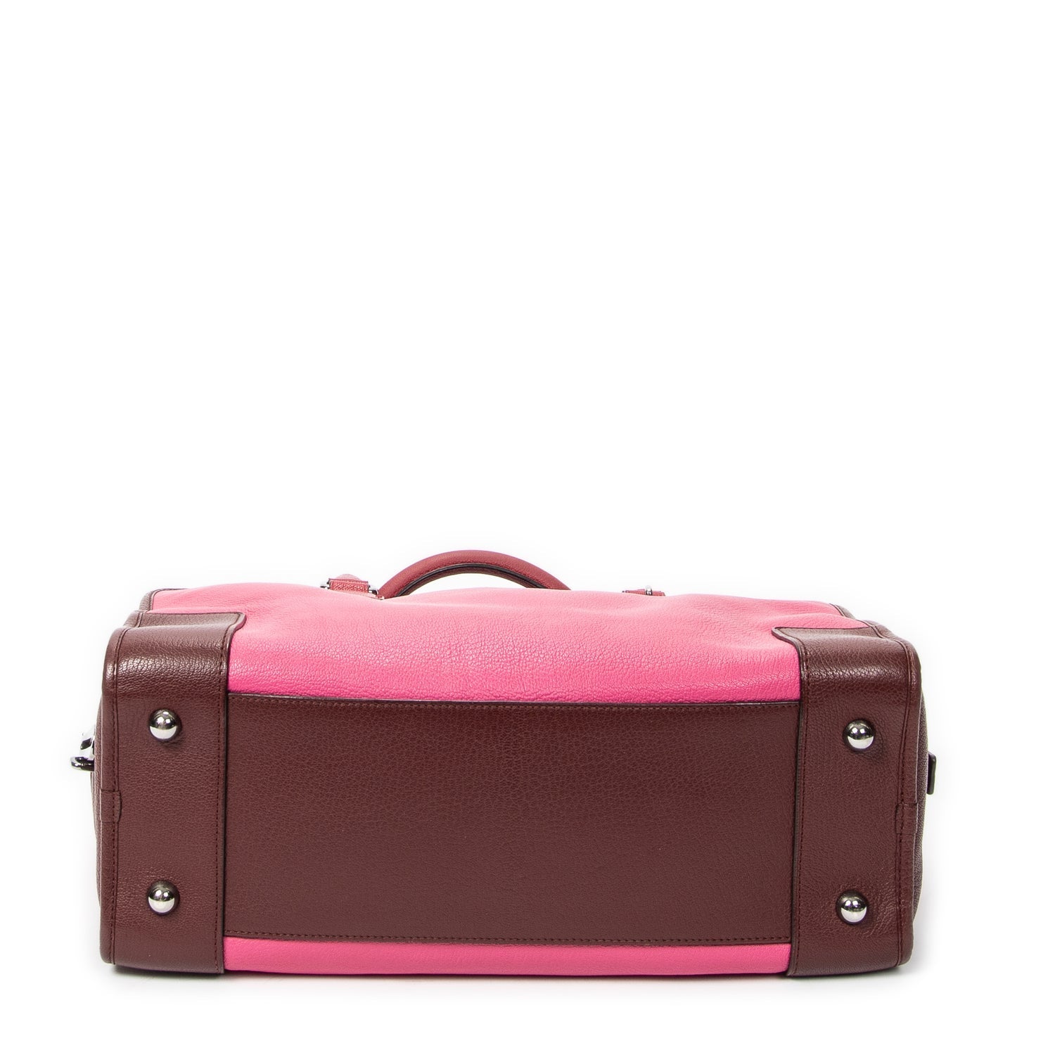 Loewe Leather Tricolor Amazona