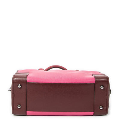 Loewe Leather Tricolor Amazona