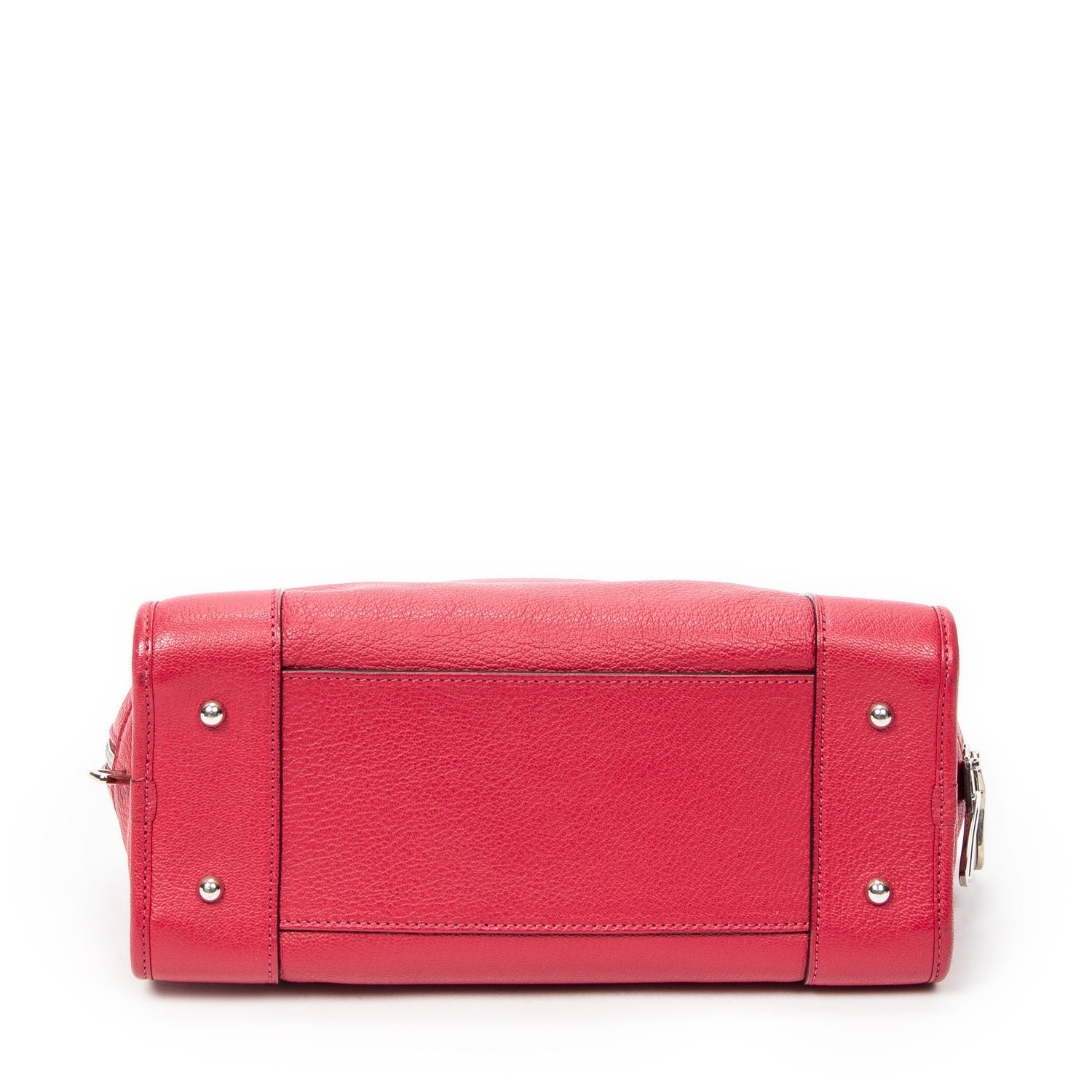 Loewe Leather Amazona