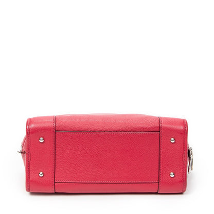 Loewe Leather Amazona