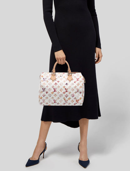 Louis Vuitton Aquarelle Monogram Speedy 35