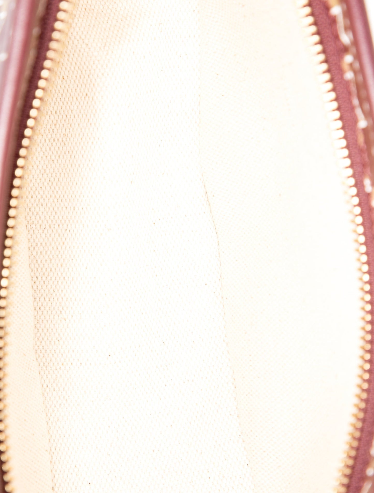 Moynat Moon Bag