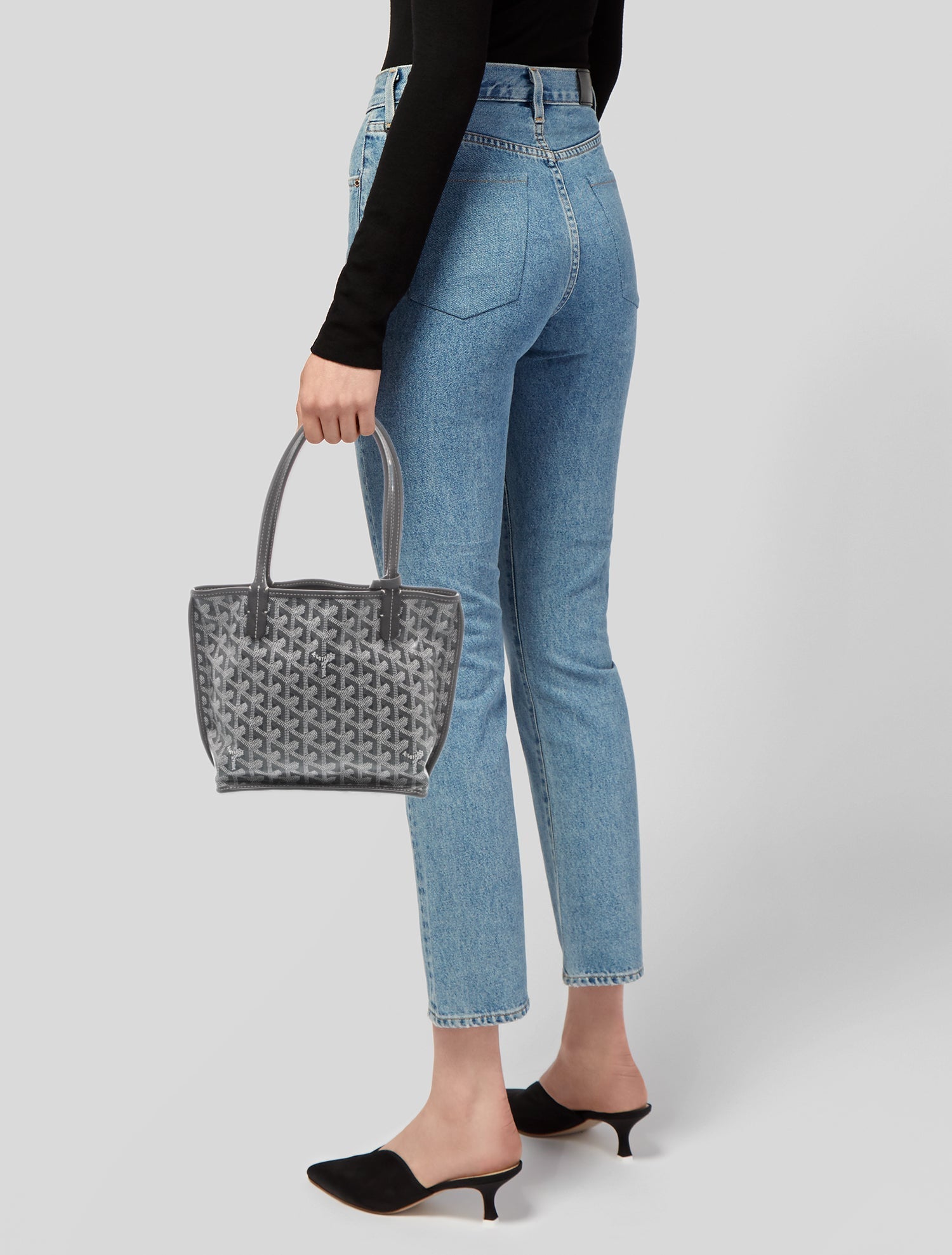 Goyard Goyardine Anjou Mini