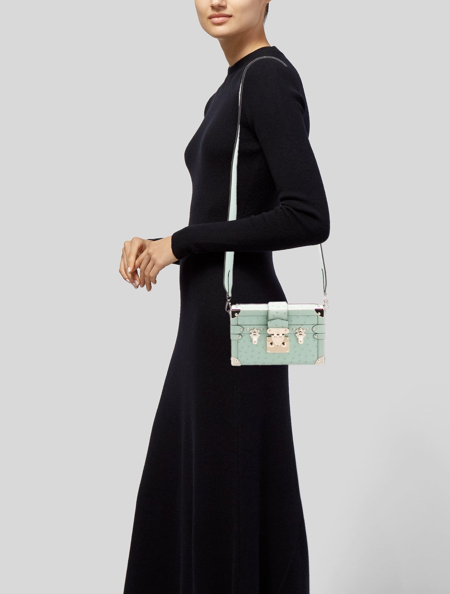 Louis Vuitton Ostrich Petite Malle 2025