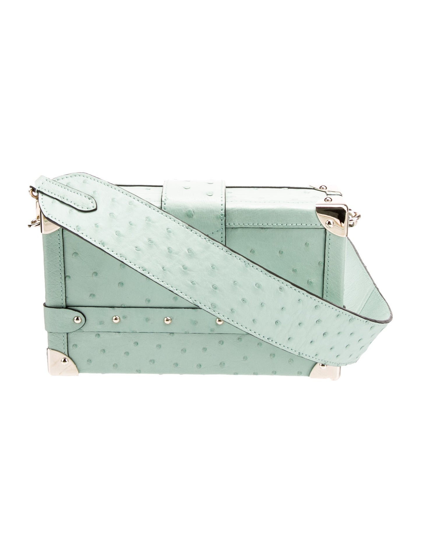 Louis Vuitton Ostrich Petite Malle 2025