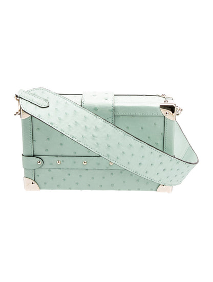 Louis Vuitton Ostrich Petite Malle 2025