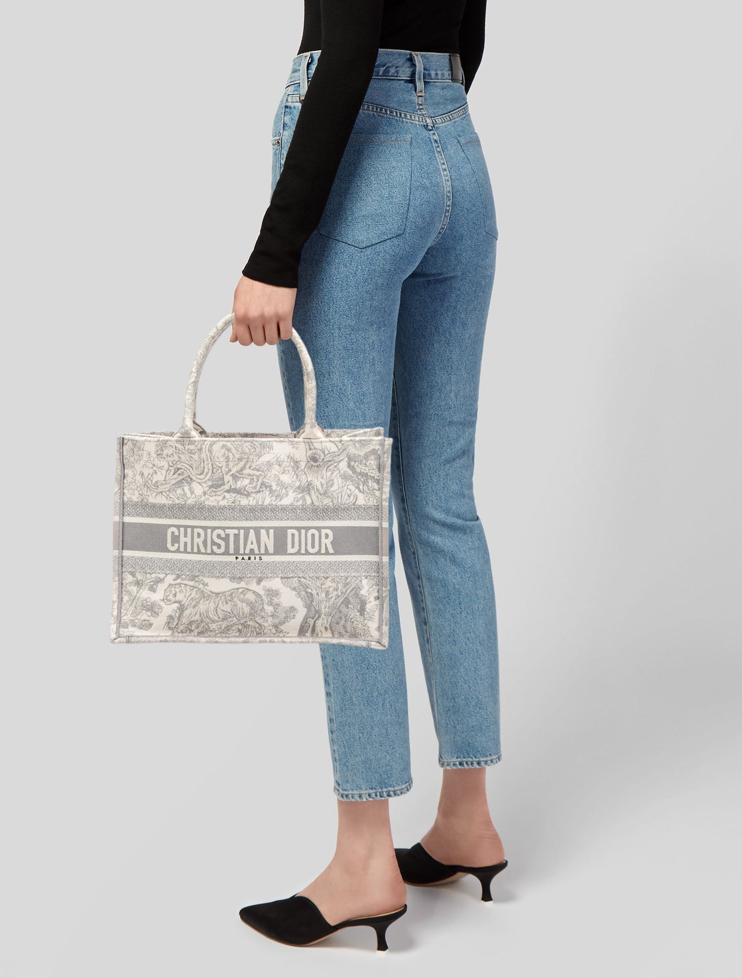Christian Dior Medium Toile de Jouy Book Tote