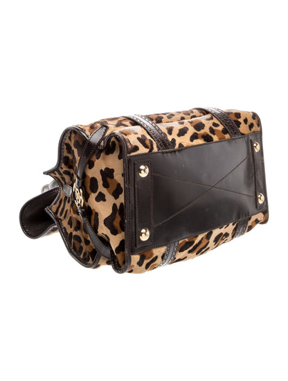 Celine Triomphe Shoulder Bag