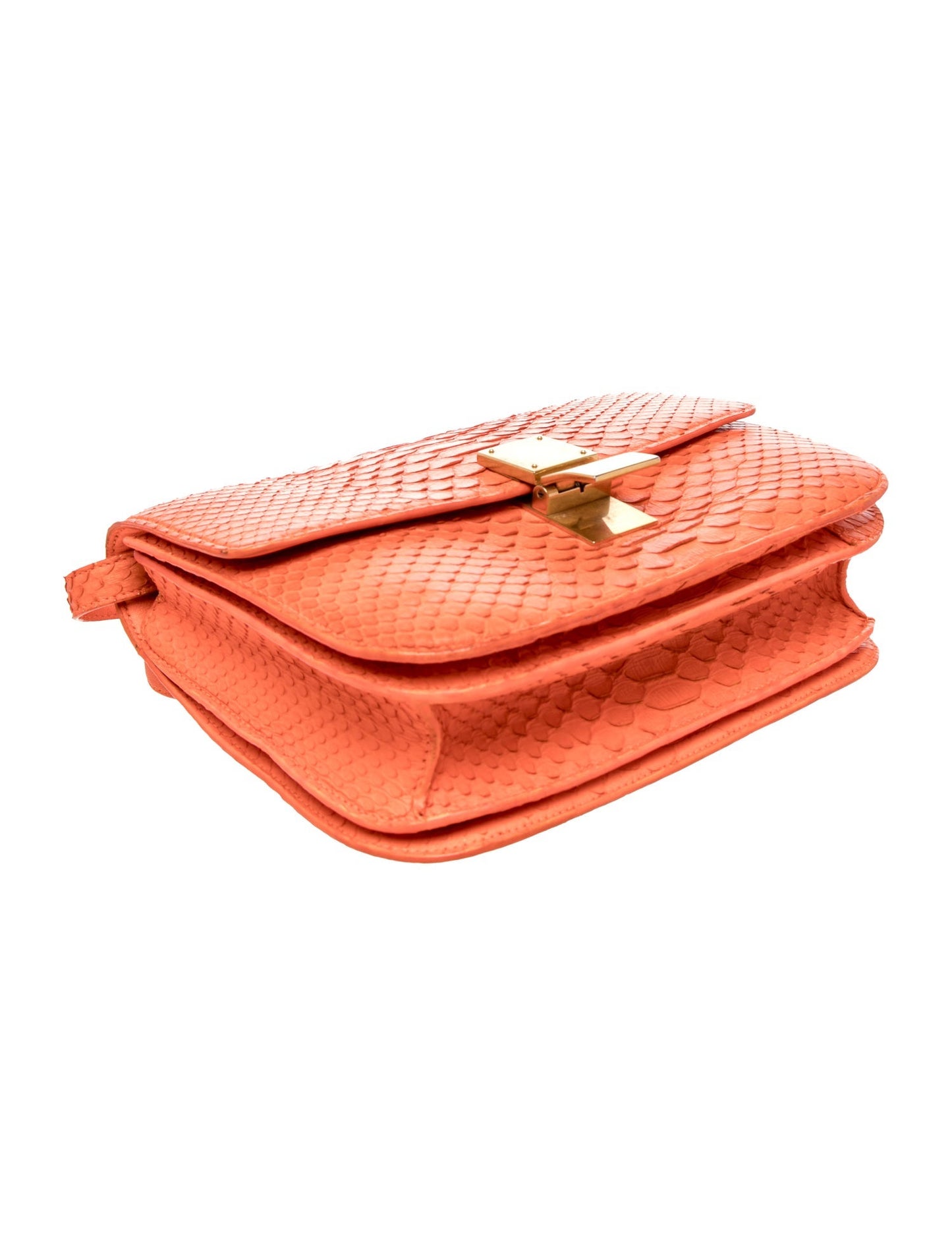Celine Python Classic Medium