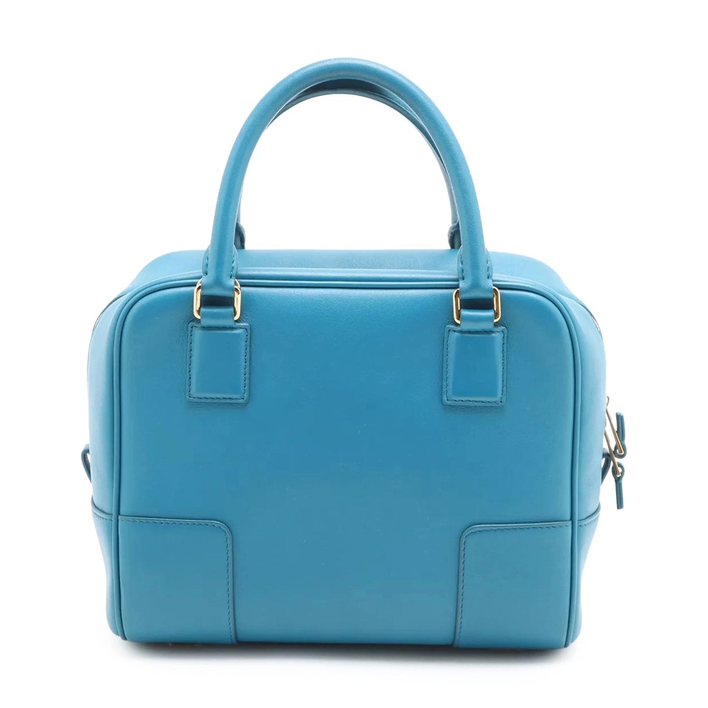 Loewe Calfskin Amazona
