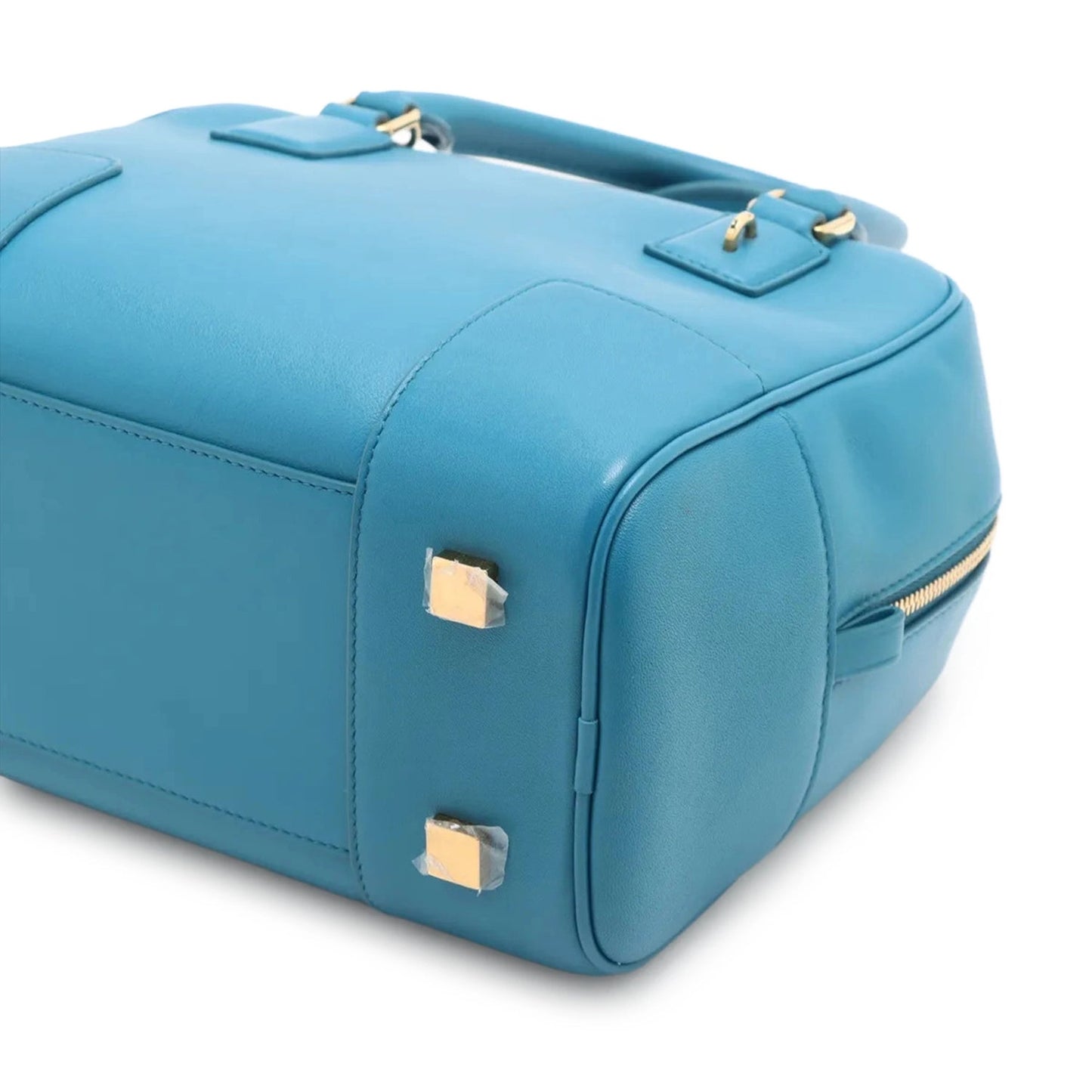 Loewe Calfskin Amazona