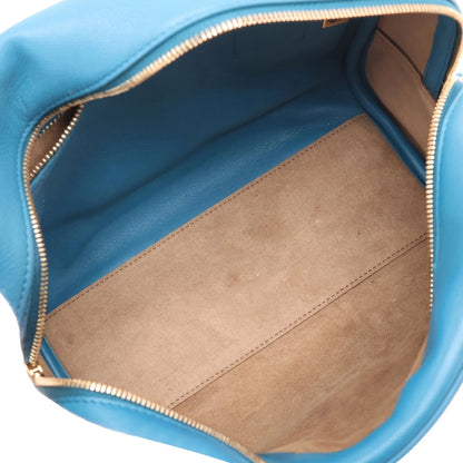 Loewe Calfskin Amazona