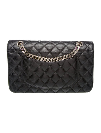 Chanel Classic Medium Bijoux Double Flap Bag