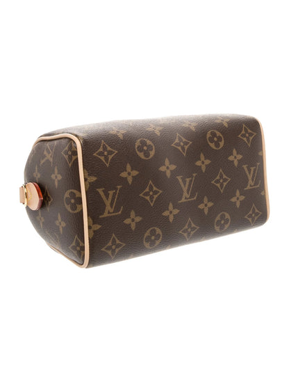 LV Monogram Speedy 20