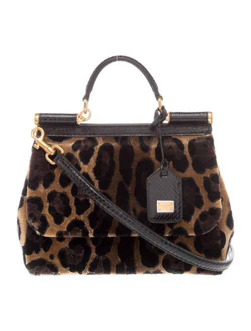 Dolce & Gabbana Velvet Sicily